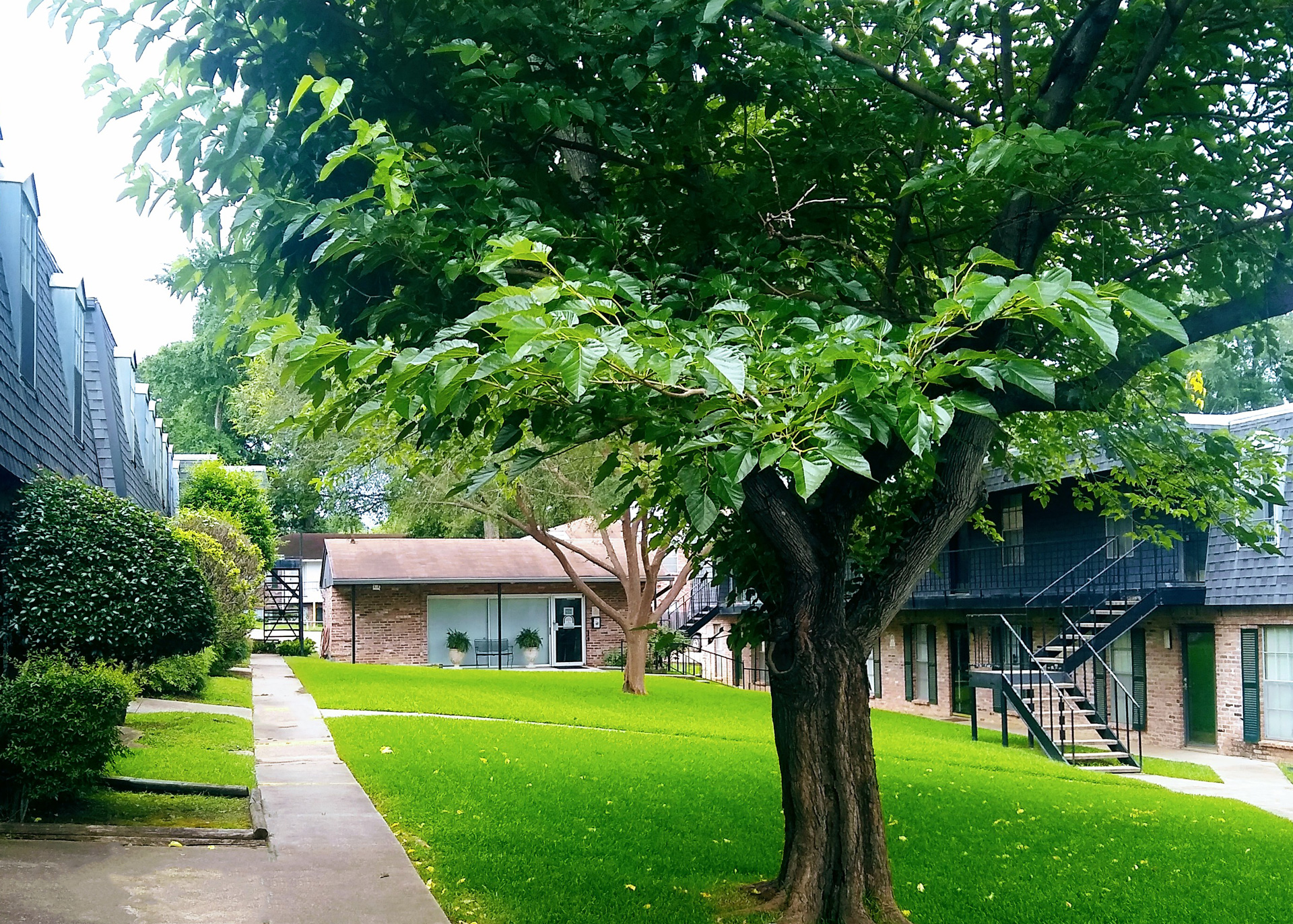 Landscaped walkway and buildings at Fairfield Oaks